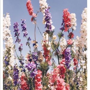 Meet your Posher, Haley